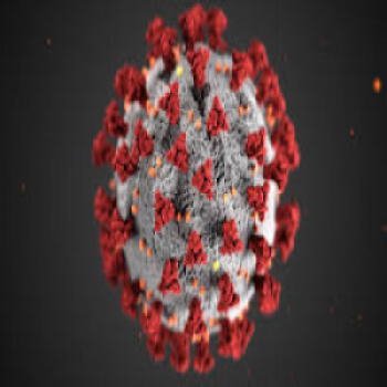 Lab test Image